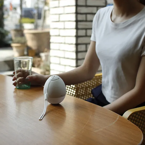 水霧風扇蛋 | 日本 SPICE of Life Mist Fan Egg - Design Chicken