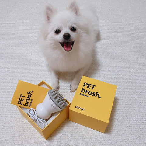 寵物電動按摩器 | 韓國Scoop Pet Massage Brush