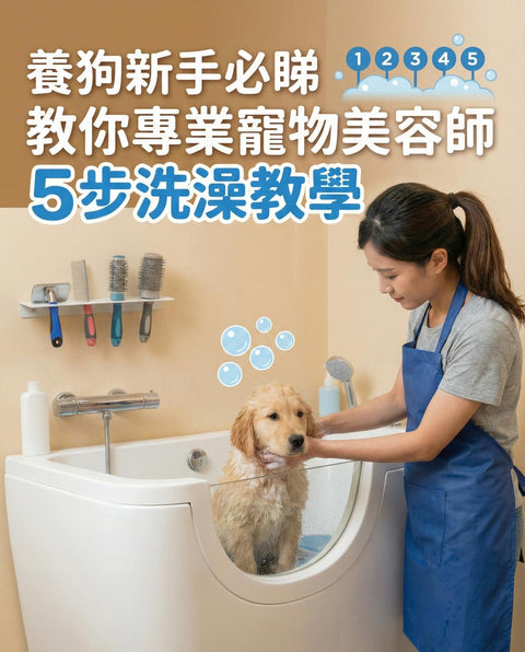 【養狗新手必看】狗狗洗澡像打仗？專業美容師的 5 步「零壓力」洗澡教學，讓新手輕鬆沖涼！