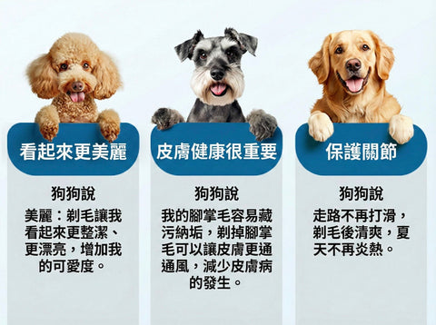 2合1寵物剪毛器 | oneisall DTJ-002