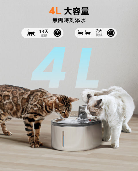 4L 無線貓咪飲水機 | ONEISALL PTM-643 - Design Chicken創意購物平台