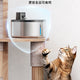 4L 無線貓咪飲水機 | ONEISALL PTM-643 - Design Chicken創意購物平台