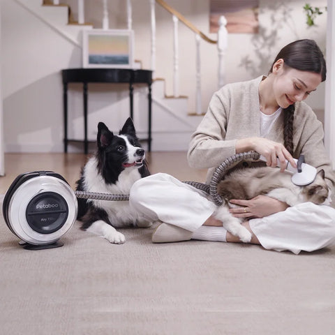 7合1多功能無線吸毛器｜Petaboo A150 Pro - Design Chicken創意購物平台