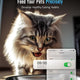 5G Wi-Fi自動寵物餵食器 | oneisall PFD-002 Pro