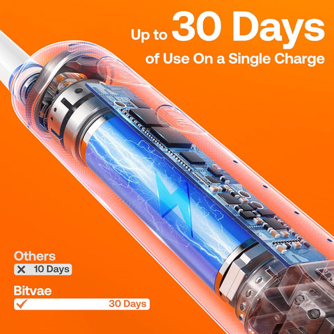 旋轉電動牙刷│Bitvae R2 - Design Chicken創意購物平台