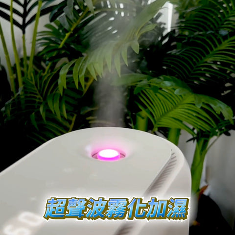 【現貨】智能三合一迷你抽濕機 | DTEX - Design Chicken創意購物平台