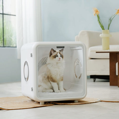 智能寵物烘乾箱│Petaboo - Design Chicken創意購物平台