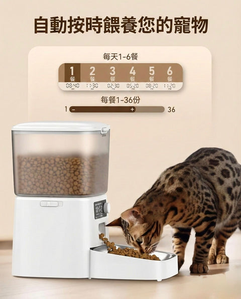 寵物自動餵食器單碗版 | oneisall PFD001