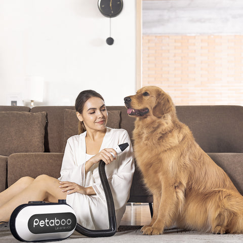負離子智能吹毛機│Petaboo L400