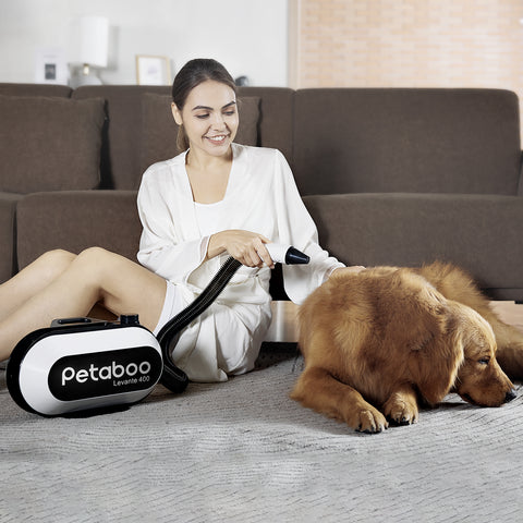 負離子智能吹毛機│Petaboo L400
