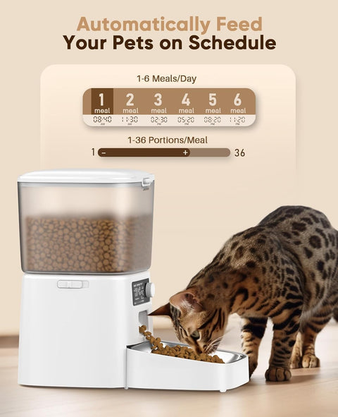 寵物自動餵器單碗版 | oneisall PFD001 （白色） - Design Chicken