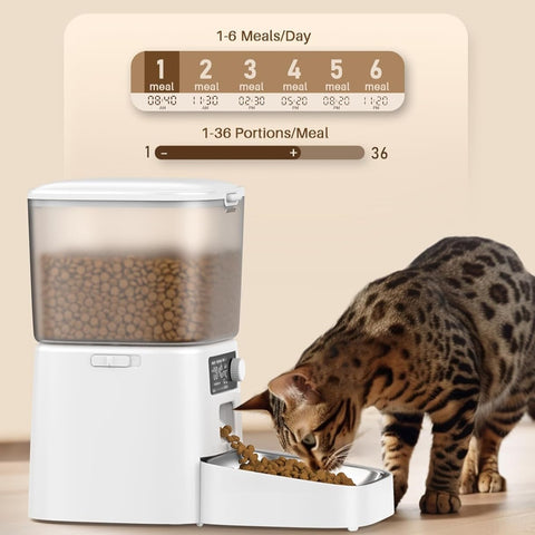 【預購】寵物自動餵食器單碗版 | oneisall PFD001 （白色）(將於11月30日寄出) - Design Chicken創意購物平台